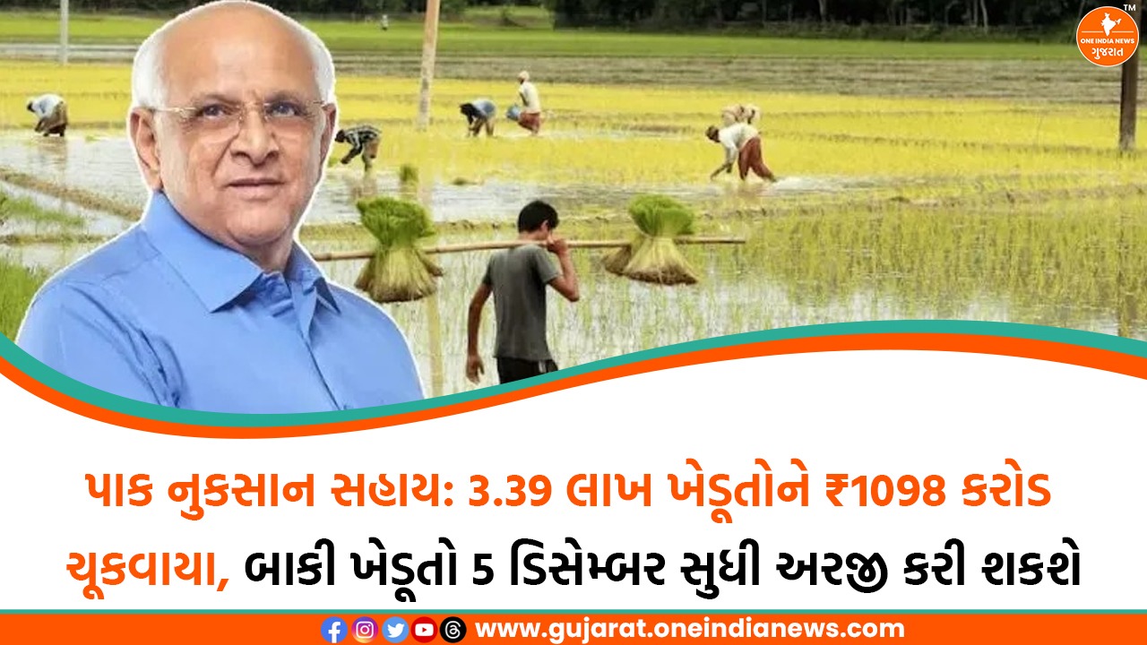 પાક નુકસાન સહાય : 3.39 લાખ ખેડૂતોને ₹1098 કરોડ ચૂકવાયા, બાકી ખેડૂતો 5 ડિસેમ્બર સુધી અરજી કરી શકશે