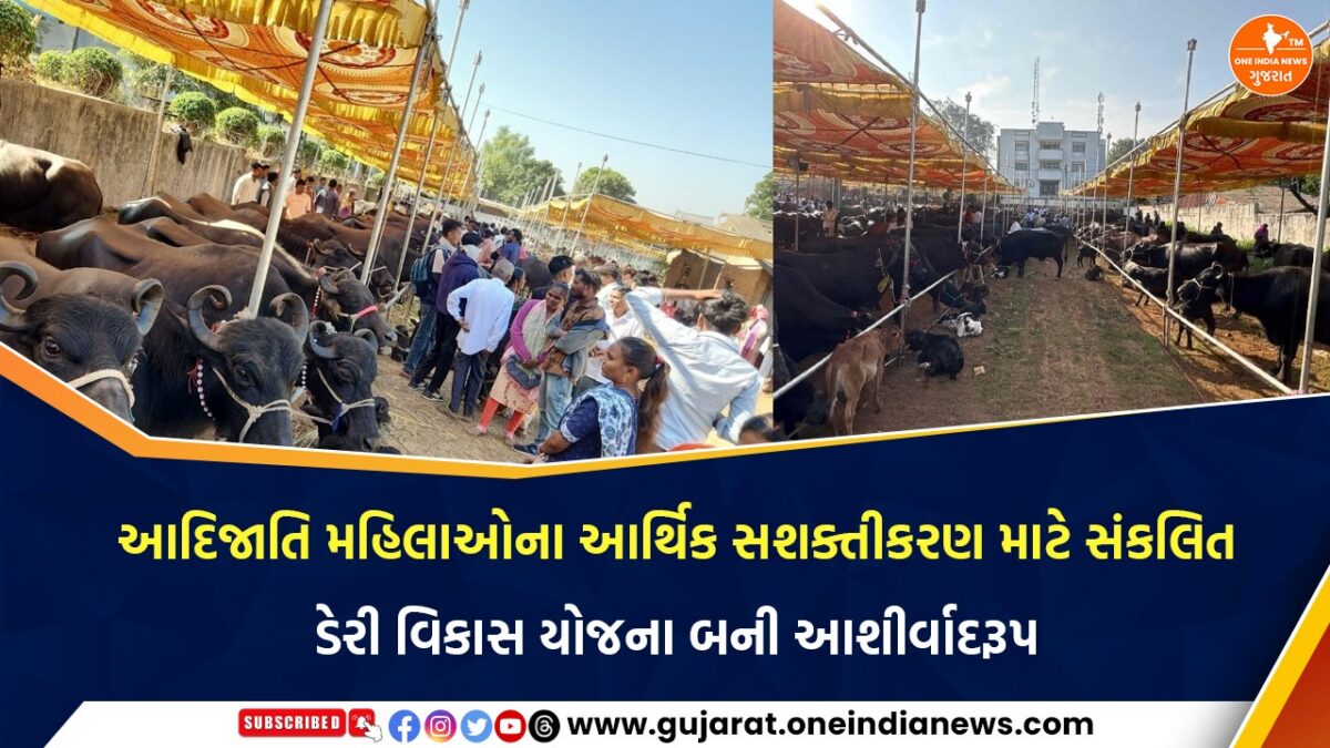 આદિજાતિ મહિલાઓના આર્થિક સશક્તીકરણ માટે સંકલિત ડેરી વિકાસ યોજના બની આશીર્વાદરૂપ