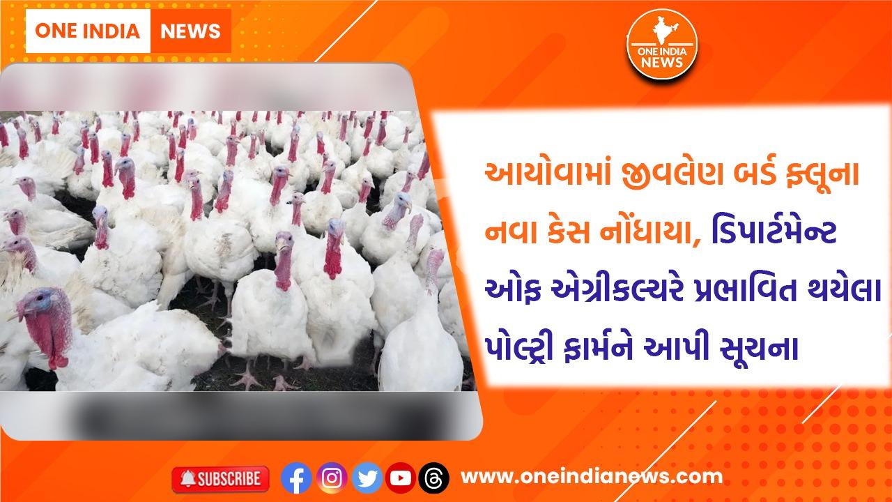 આયોવામાં જીવલેણ બર્ડ ફ્લૂના નવા કેસ નોંધાયા